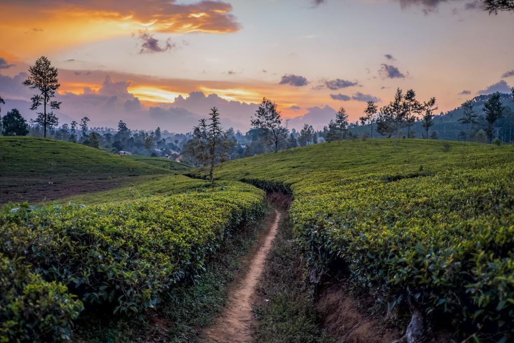 Langdale Boutique Hotel By Amaya Nuwara Eliya Eksteriør billede